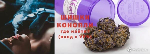 СК Сафоново
