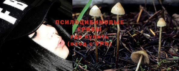прущая мука Абдулино