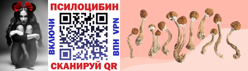 Псилоцибиновые грибы Cubensis  KRAKEN сайт  Вилюйск 